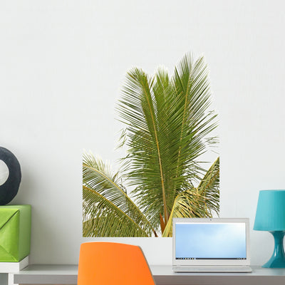 Coconut Palm Tree Tropical Wall Decal shown on a wall