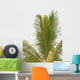coconut palm tree tropical white background Wall Decal