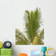 coconut palm tree tropical white background Wall Decal