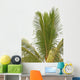 coconut palm tree tropical white background Wall Decal