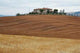 Paesaggio Toscano Wall Decal