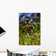 Green Moss Wall Decal