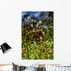 Green Moss Wall Decal