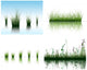 Grass Water Wall Decal