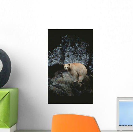 Fv3608, Jason Puddifoot Wall Mural
