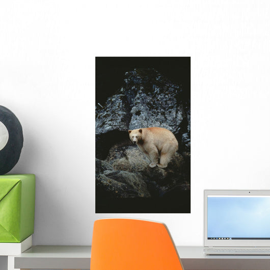 Fv3608, Jason Puddifoot Wall Mural