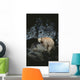 Fv3608, Jason Puddifoot Wall Mural
