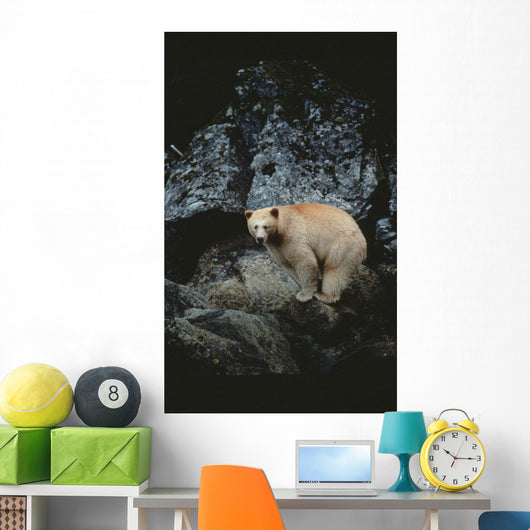Fv3608, Jason Puddifoot Wall Mural