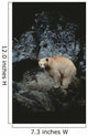 Fv3608, Jason Puddifoot Wall Mural