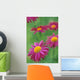 Fv3575, Natural Moments Photography Wall Mural