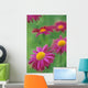 Fv3575, Natural Moments Photography Wall Mural