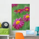 Fv3575, Natural Moments Photography Wall Mural