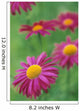 Fv3575, Natural Moments Photography Wall Mural