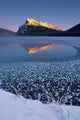 Fv3542, Natural Moments Photography Wall Mural