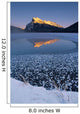 Fv3542, Natural Moments Photography Wall Mural