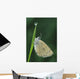 Fv3522, Natural Moments Photography Wall Mural