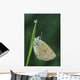 Fv3522, Natural Moments Photography Wall Mural