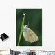 Fv3522, Natural Moments Photography Wall Mural