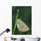 Fv3522, Natural Moments Photography Wall Mural