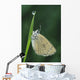 Fv3522, Natural Moments Photography Wall Mural