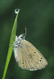 Fv3522, Natural Moments Photography Wall Mural