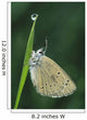 Fv3522, Natural Moments Photography Wall Mural