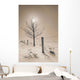 Fv3516, Natural Moments Photography Wall Mural