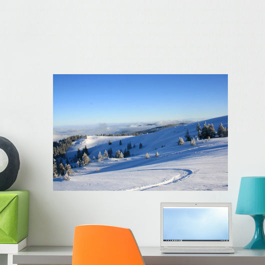 Winter Am Feldberg Wall Mural