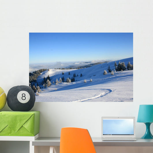 Winter Am Feldberg Wall Mural