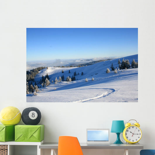 Winter Am Feldberg Wall Mural