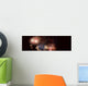 Panoramic Fireworks In A Night Sky Wall Mural