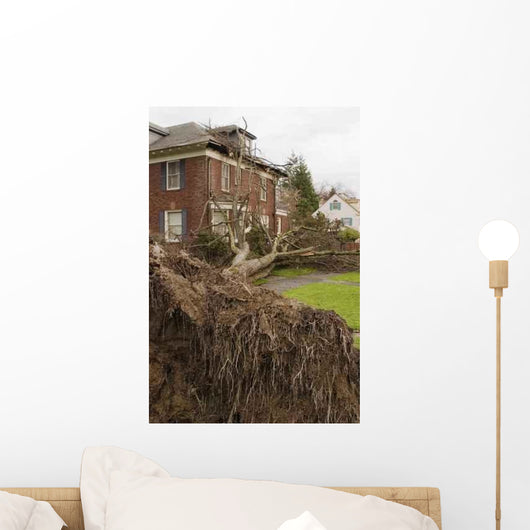 Fallen Tree and House Wall Decal