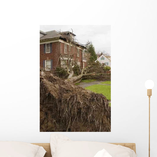 Fallen Tree and House Wall Decal