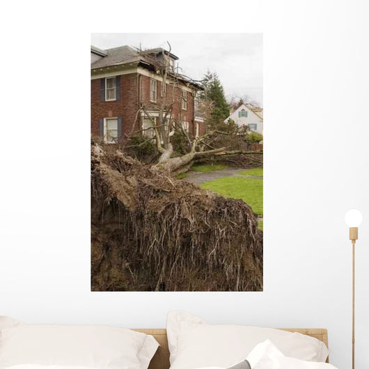 Fallen Tree and House Wall Decal