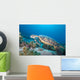 Hawksbill Turtle Eretmochelys Imbricata Wall Mural