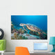 Hawksbill Turtle Eretmochelys Imbricata Wall Mural