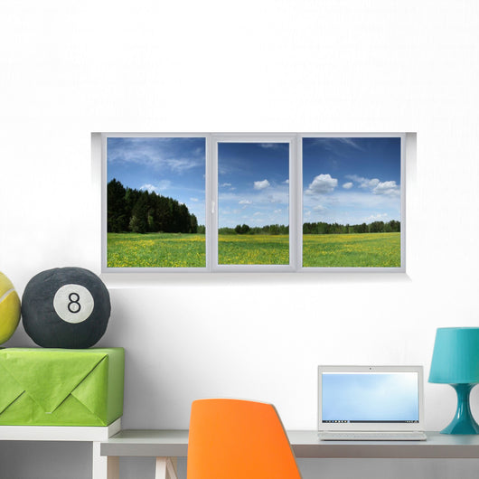 Window Wall Mural