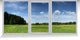 Window Wall Mural