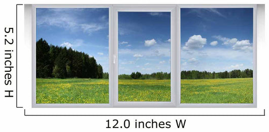 Window Wall Mural