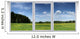 Window Wall Mural