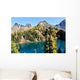 Golden Larch Trees and