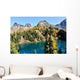 Golden Larch Trees and