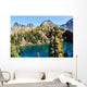 Golden Larch Trees and