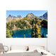 Golden Larch Trees and