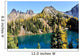 Golden Larch Trees and