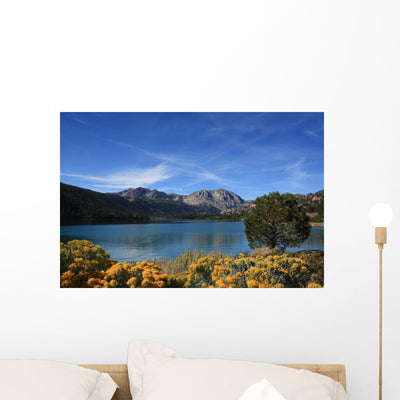 Mountain Lake shown on a wall