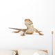 small bearded dragon Wall Decal