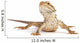small bearded dragon Wall Decal