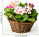 Spring Primroses Wall Decal