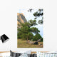 Rocks Landscape
